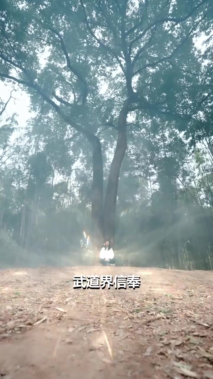 第1集 - 這豪門，我拳頭說了算